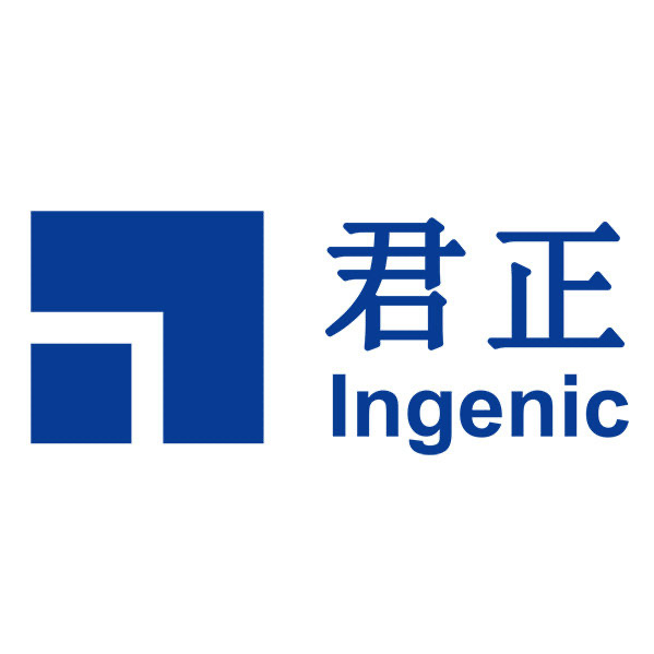 Ingenic Semiconductor